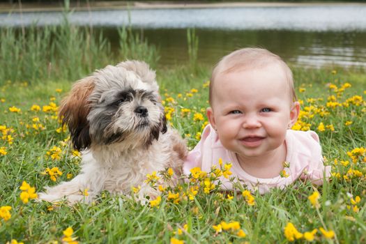 Sweet baby girl and puppy in a field of buttercups