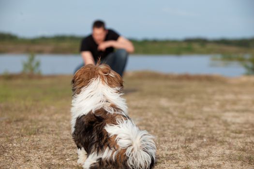 Little dog is listening to its owner