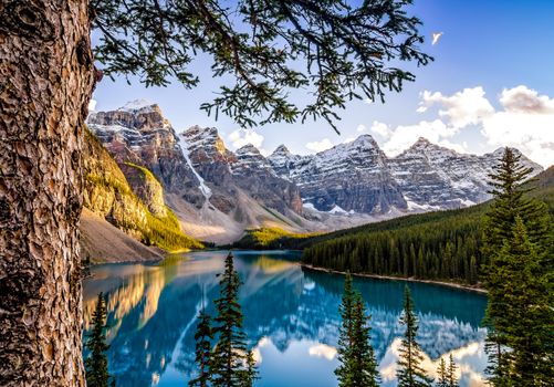 Landscape view of Morain lake and mountain range with tree in foreground, Alberta, Canada