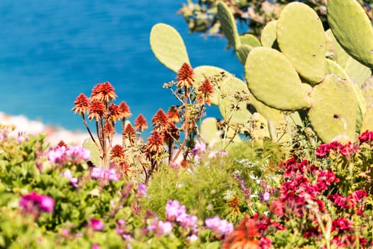 Flower mix with sea background