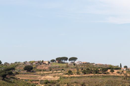 Hillock with houses and trees