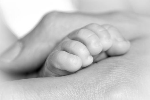 Closeup at a tiny foot of a newborn