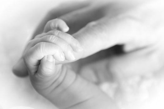 Closeup at a tiny hand of a newborn