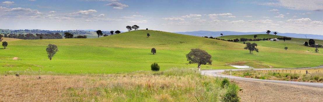 Rolling hillsides and meandering country roads in country NSW, Australia.  (3 image stitch panorama)