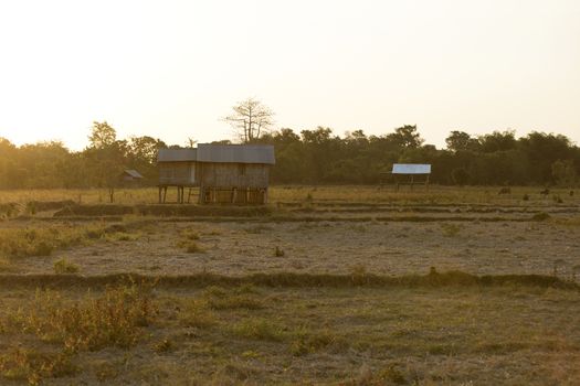 The farmland on Flores island in Komodo national park