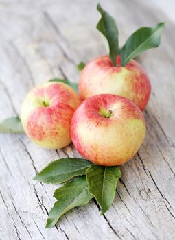 Bunch of apples lying on a wooden surface