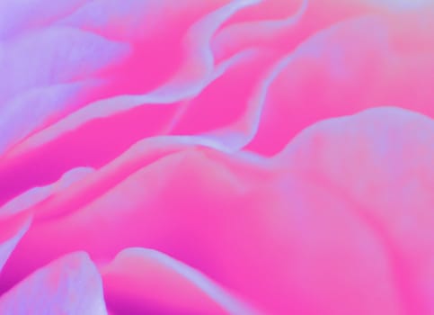 Pink flower abstract, digital illustration background texture.