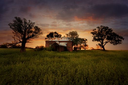 Old abandoned rural farm house lies in ruins in a field with overgrown weeds at sunset