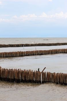 The bamboo block to prevent coastal erosion, wave