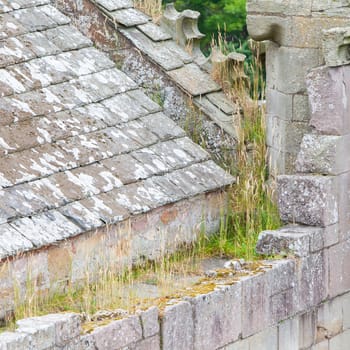 Details of an forgotten old Scottish Abbey, ruin