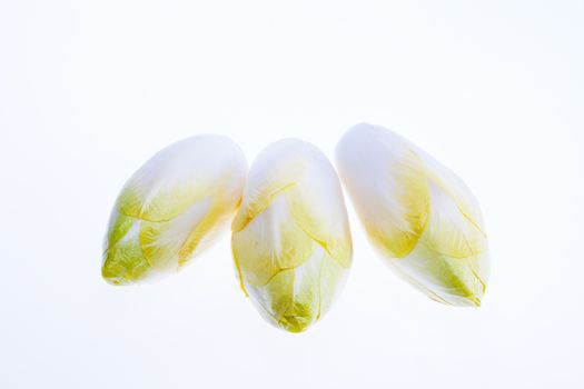 some of fresh chicory isolated on white background