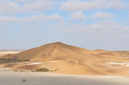 Dune in the Namib at Swakopmund in Namibia

