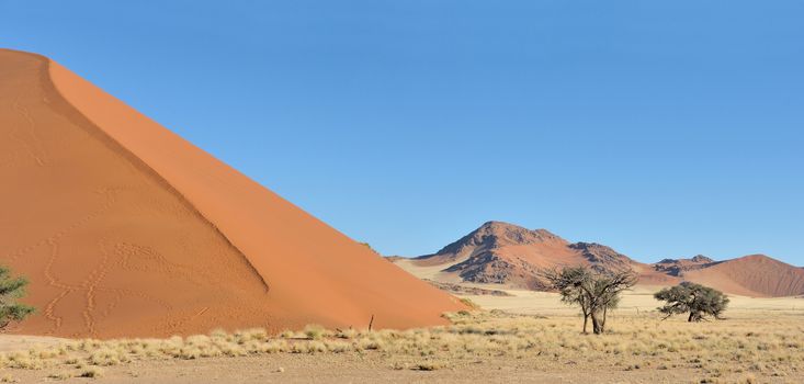 Grass, dune and mountain panorama near Sossusvlei, Namibia
