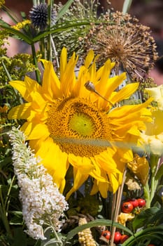 beautiful bouquets of flowers and herbs 