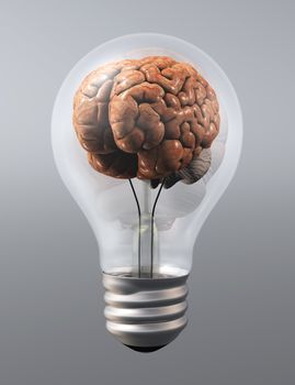 a human brain is inside a light bulb on a grey background