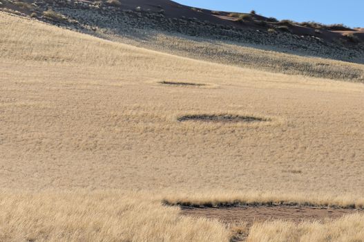 Fairy circles near Sesriem on the way to Sossusvlei, Namibia
