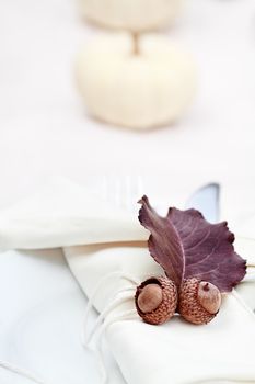 Rustic table decorated for a Thanksgiving meal. Extreme shallow depth of field with selective focus on acorns.