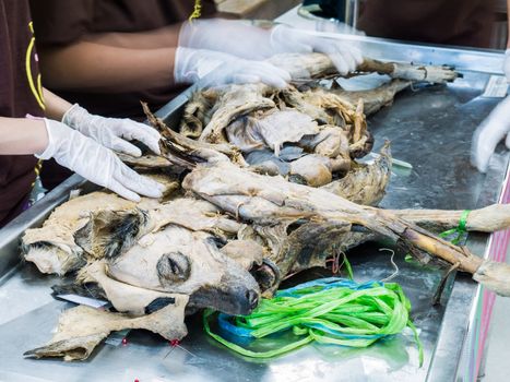 Veterinarian student learning operate on from dog body