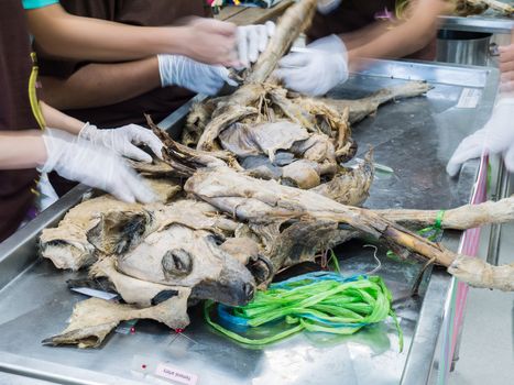 Veterinarian student learning operate on from dog body