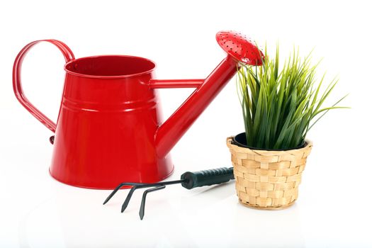 gardening tools and grass on white background 