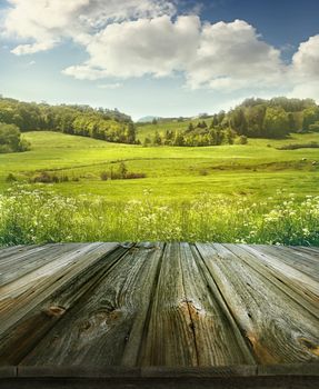 Summer pastoral background with rough wooden planks 