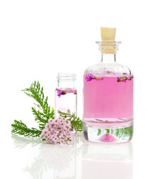 Yarrow herbal tincture, with fresh flowers Achillea millefolium.