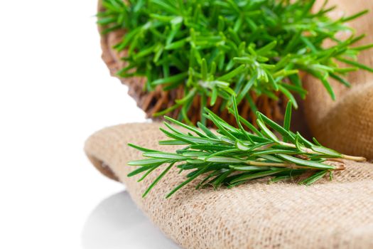 tied fresh rosemary on the burlap, over white background