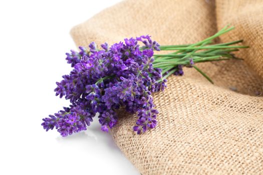 lavender flowers on the burlap, over white background
