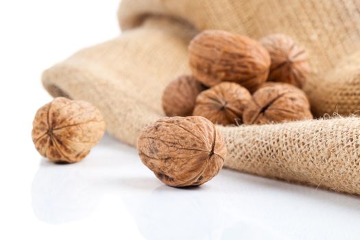close up of walnut on white background
