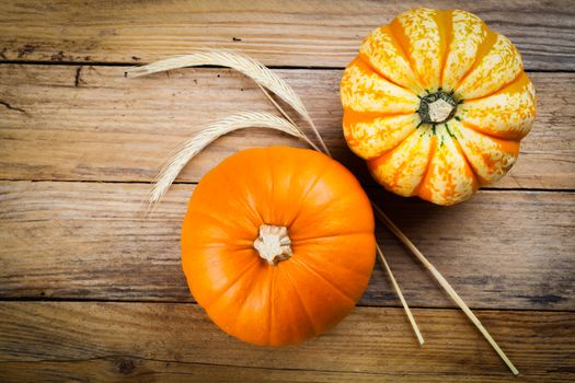 Autumn pumpkins on wooden board