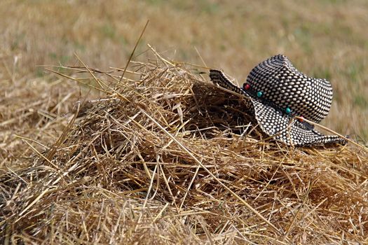 Photo shows colourful hut on the straw.