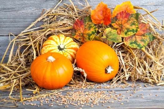 Autumn pumpkins on wooden board, straw