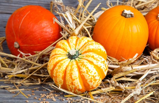 Autumn pumpkins on wooden board, straw