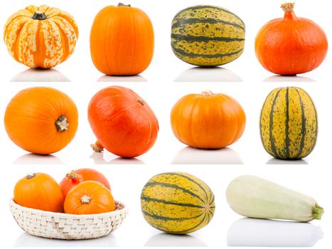 set of colorful pumpkins on white background