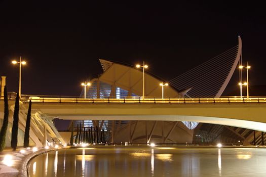 Photo shows Valencia city at night and its various surroundings.