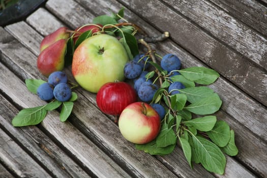 Apples cherries pears in garden on wooden bench