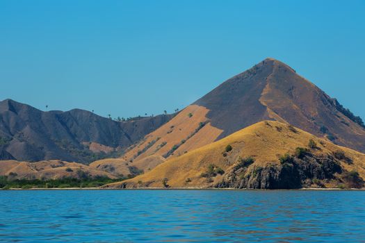 The beautiful nature of Komodo national park