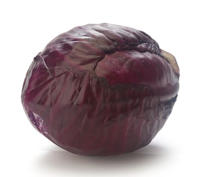 Isolated head of red cabbage on the white background