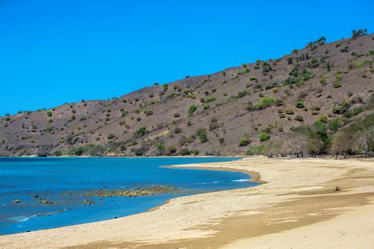 The beautiful nature of Komodo national park