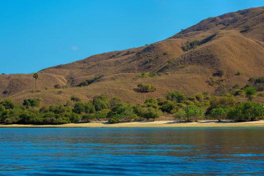 The beautiful nature of Komodo national park