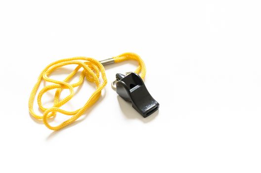 whistle on a white background