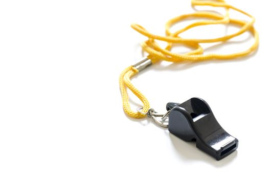 whistle on a white background