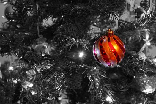 a single, isolated, red and gold striped chirstmas bauble, against a black and white tree