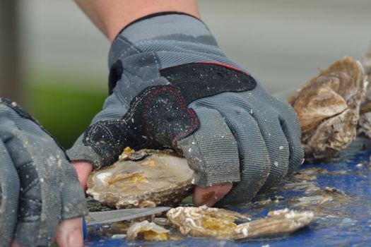 Close up of oyster being prepared