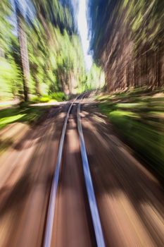 View of narrow gauge railroad track from rear window of train riding through forest