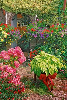 Down by the potting shed a gardener has produced a beautiful floral display.