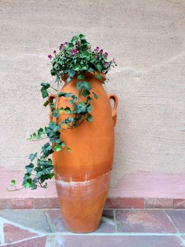 Clay amphora with green flowering ivy, garden decoration.