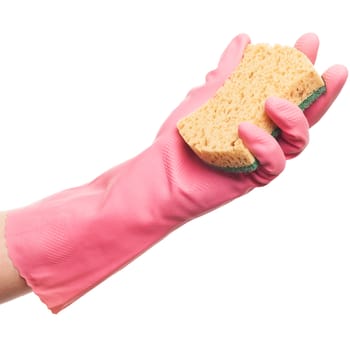 Hand in a pink glove holding domestic sponge