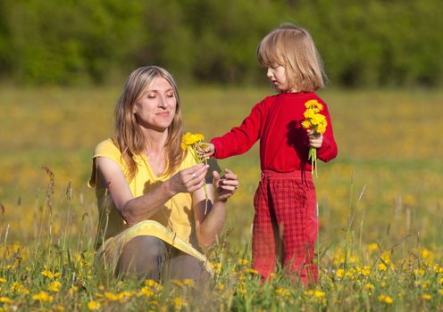 mother and son picking flowers at dandelion field in spring