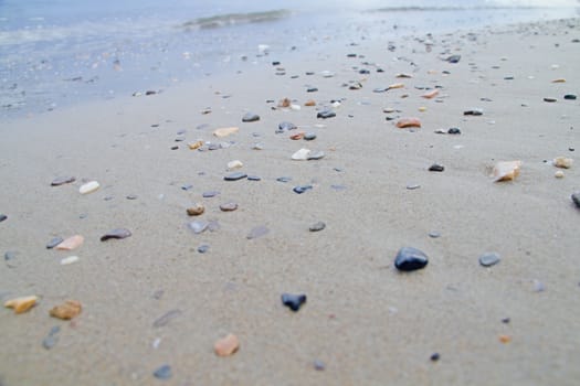 Photo shows a detail of the various stones on the sandy beach.